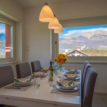 Rose Rossa Roselina Terrassen Og *