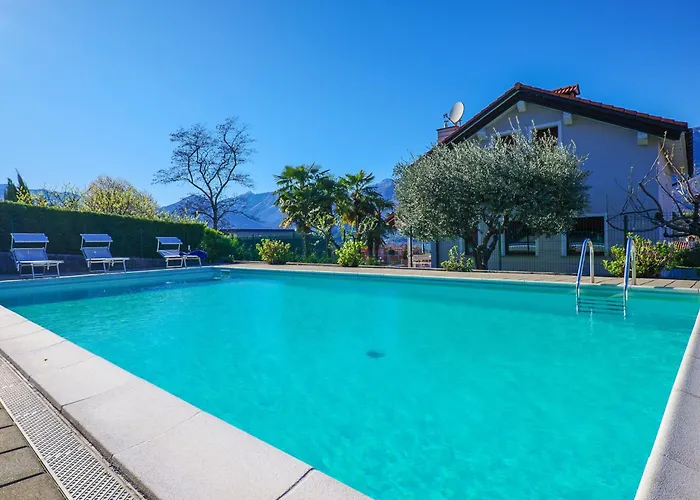 Rose Rossa Roselina Terrassen Og