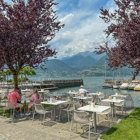 Rose Rossa Roselina Terrassen Og Colico