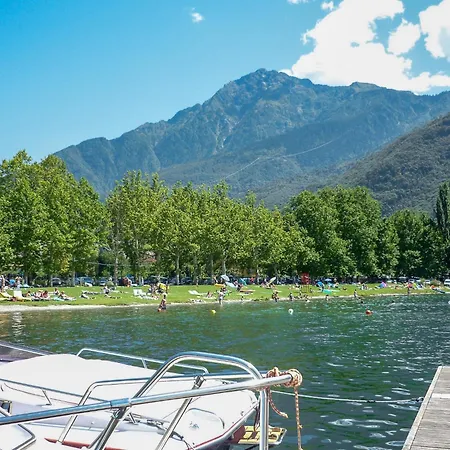 Rose Rossa Roselina Terrassen Og