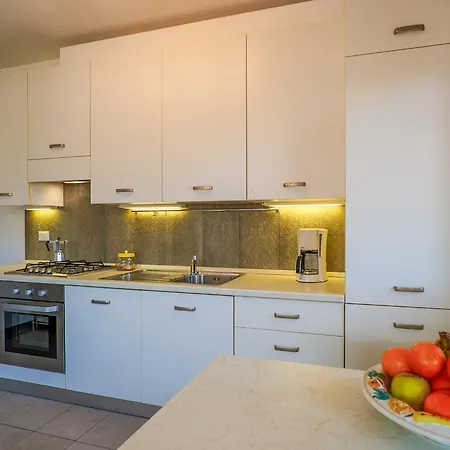 Rose Rossa Roselina Terrassen Og