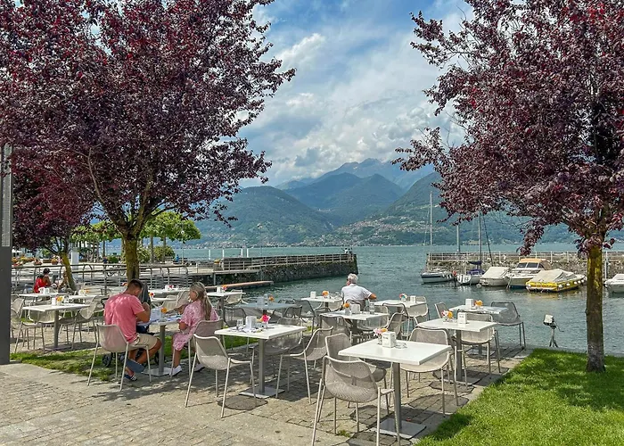 Rose Rossa Roselina Terrassen Og Colico