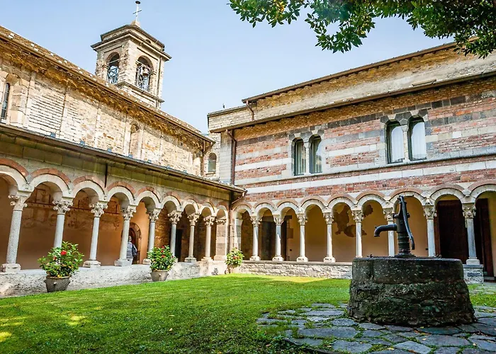 Rose Rossa Roselina Terrassen Og * Colico