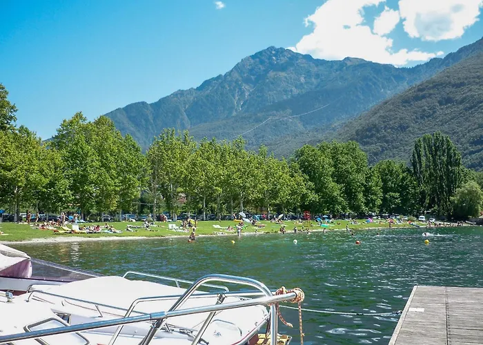 Rose Rossa Roselina Terrassen Og