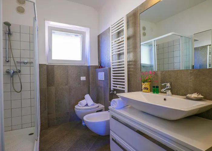 Rose Rossa Roselina Terrassen Og *