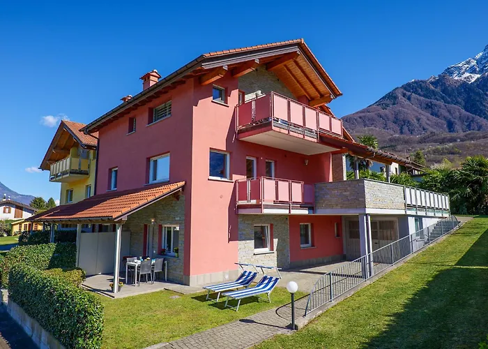 Rose Rossa Roselina Terrassen Og * Colico