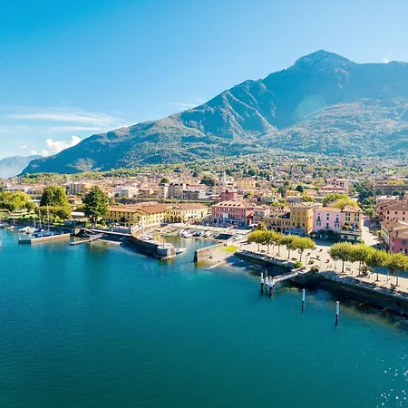 Rose Rossa Roselina Terrassen Og Daire