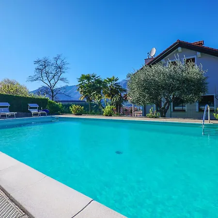 Rose Rossa Roselina Terrassen Og